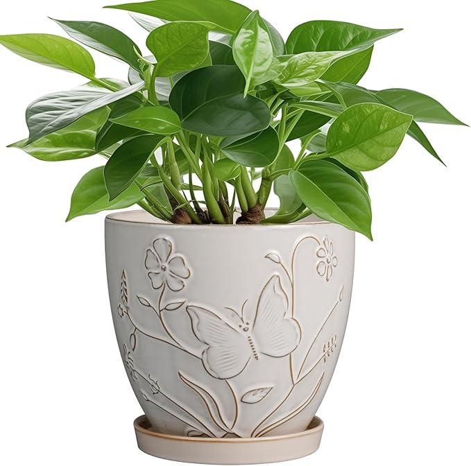 6 Inch Ceramic Plant Pot for Indoor Plants Outdoor Round Planter Flower Pot with Drainage Hole and Saucer for Home Garden Office Decor White-Ruum Studio Home