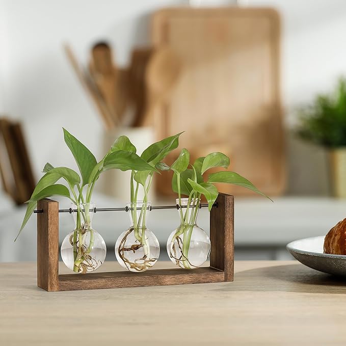 YIBOT Plants Propagation Stations,Plant Terrarium with Wooden Stand Wall Hanging Glass Planter Plant Propagation Vase for Indoor Office Home Garden Decor Plant Lover Gifts for Women-Ruum Studio Home
