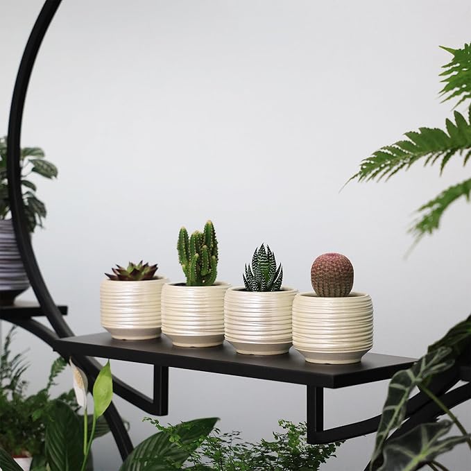 Mini Succulent Planter Set – 3.7 Inch Ceramic Pots with Drainage for Indoor Plants, Small Decorative Flower Pots for Cactus and House Plants, Set of 4-Ruum Studio Home