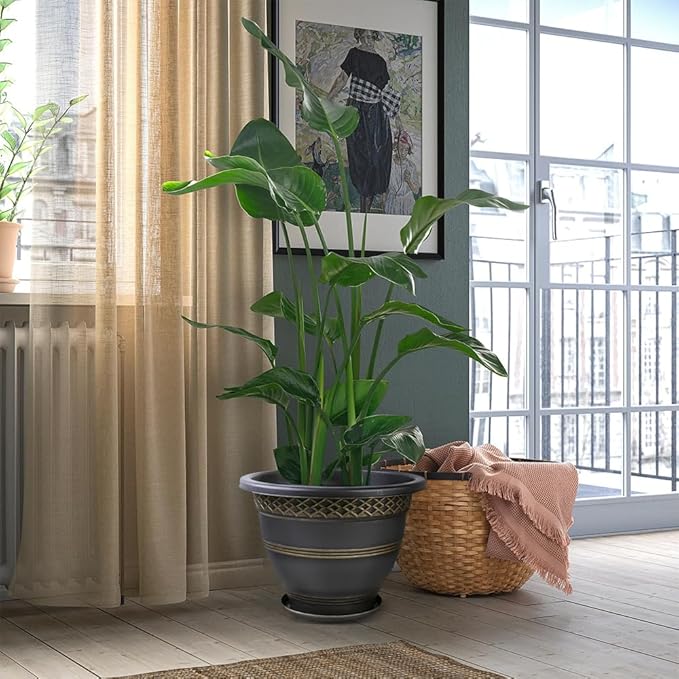 6 Pack 8 Inch Plant Pots, Plastic Flower Pot for Indoor & Outdoor with Drainage Holes & Saucer, Plaid Pattern Planters Garden Pots for Herbs-Ruum Studio Home