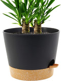 Self Watering Pots for Indoor Plants,12 inch Planters with Drainage Holes Plastic Flower Pots with Deep Reservoir, Black with Brown-Ruum Studio Home