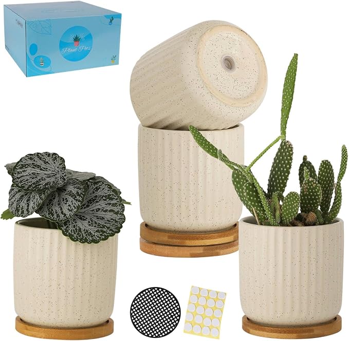 TAMAYKIM 4 Inch Ceramic Plant Pots with Drainage Holes, Modern Flower Planter with Saucer for Indoor Plants, Succulent, Cactus & Herbs, Beige, Set of 4 (Plants Not Included)-Ruum Studio Home