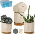 TAMAYKIM 4 Inch Ceramic Plant Pots with Drainage Holes, Modern Flower Planter with Saucer for Indoor Plants, Succulent, Cactus & Herbs, Beige, Set of 4 (Plants Not Included)-Ruum Studio Home