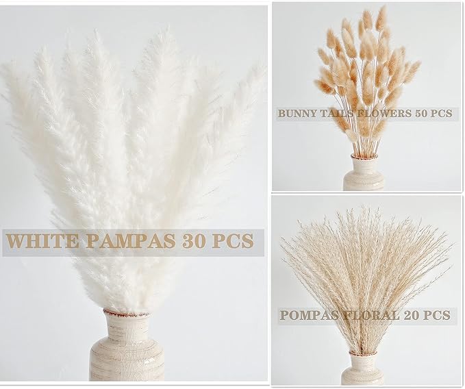 Natural Dried Pampas Grass Decor, White Pampas Grass， Bunny Tails Dried Flowers, Reed Grass Bouquet for Wedding Boho Flowers Home Table Decor, Rustic Farmhouse Party (100 in Total )-Ruum Studio Home