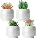 Mini Succulent Planter Set – 3.7 Inch Ceramic Pots with Drainage for Indoor Plants, Small Decorative Flower Pots for Cactus and House Plants, Set of 4-Ruum Studio Home