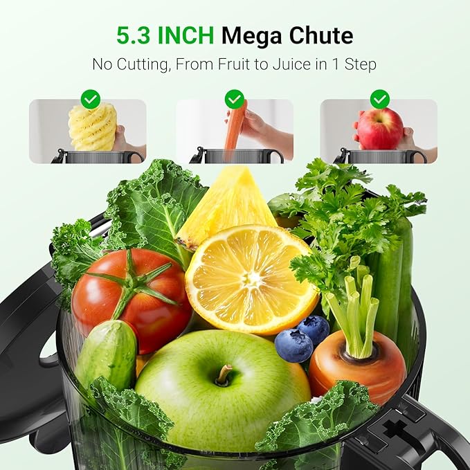Juicer Machines,Aeitto Cold Press Juicer with 5.3“ Extra Large Feed Chute for Whole Fruits & Vegetables, Juice Extractor Machine, Self Feeding, Easy to Clean, High Juice Yield, Black-Ruum Studio Home