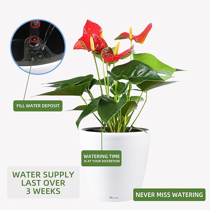 Dexceder 13x12 Self Watering Planter with Wheels Indoor Outdoor, Inner Pot Design, Thickened Large Floor Standing Flower Plant Pot with Water Level Indicator (White Matte)-Ruum Studio Home