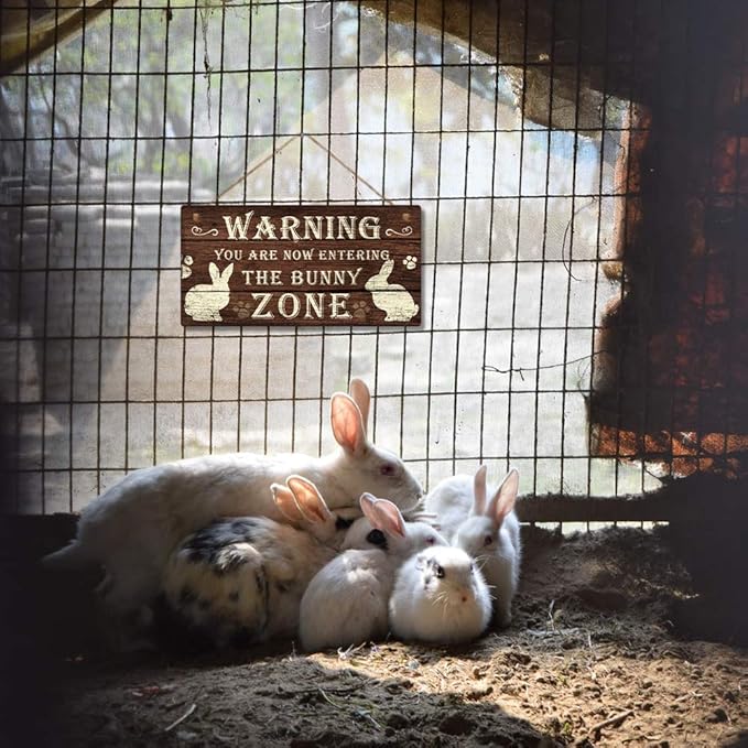 Putuo Decor Funny Rabbit Sign Bunny Rabbit Home Decor Gift Bunny Mom Bunny Lover 12 x 6 Inch (The Bunny Zone) Easter Decorations-Ruum Studio Home