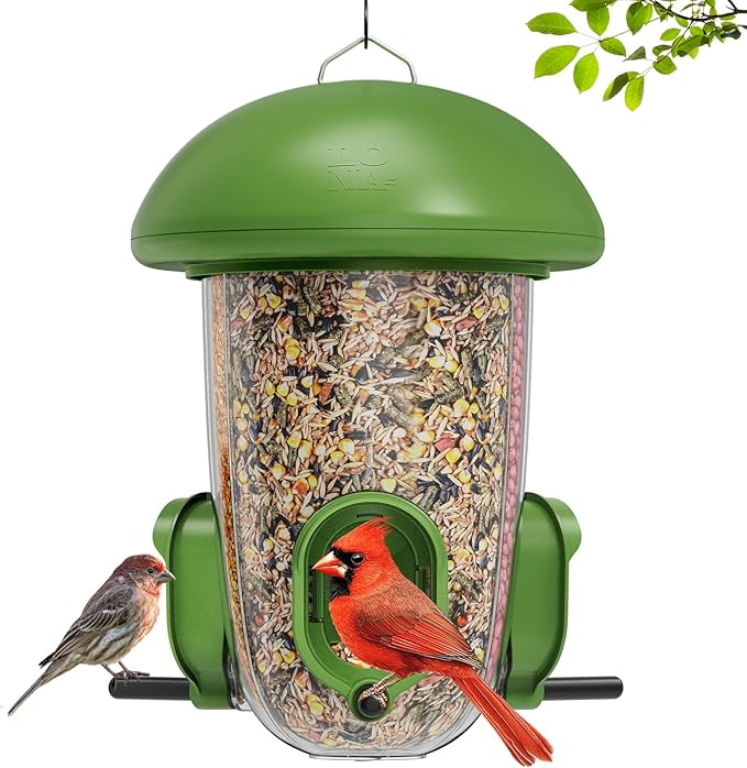 LONA Bird Feeders for Outdoors Hanging – 3 Separate Compartments, 3 Feeding Ports, Weatherproof Dome & 3 Ways to Hang, Large Capacity for Cardinals/Finches (Green，Plus-Ruum Studio Home
