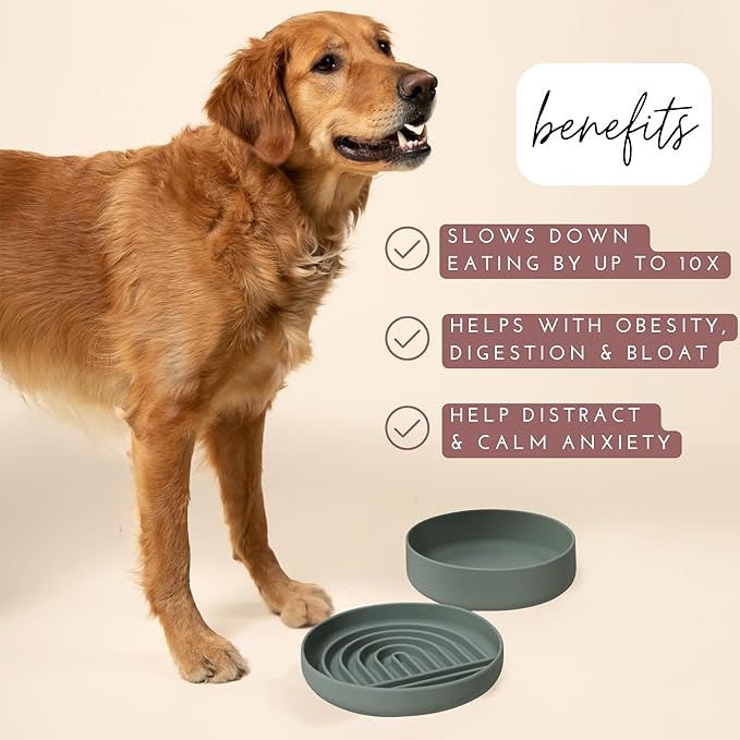 The Slowdown Bowl Silicone Slow Feeder for Dogs & Puppies, Slow Eating, Modern Lick Mat Design, Reduces Gulping, Fits 2.5 Cups 9.5” Across x 1.5” Tall, Mealtime Challenge, Large-Spruce-Ruum Studio Home