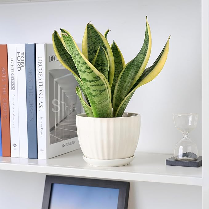 4/5/6 Inches Ceramic Plant Pots with Drainage Holes and Saucers, Round Flower Pots for Indoor Plant, Modern Flower Planters Set of 3 (White-Big Size)-Ruum Studio Home