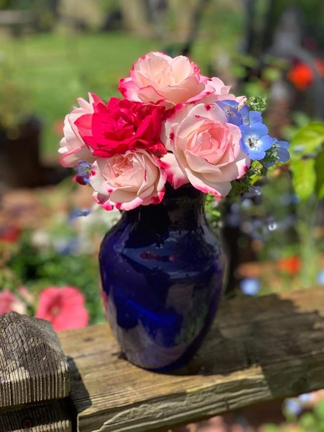 Floral Supply Online - 8" Rose Vase and Flower Guide Booklet - Decorative Glass Flower Vase for Floral Arrangements, Weddings, Home Decor or Office. (Cobalt)-Ruum Studio Home