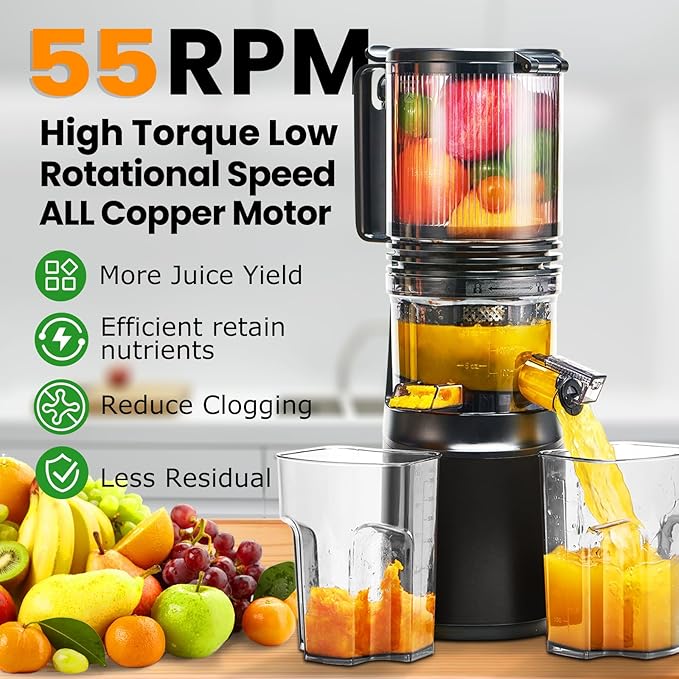 Cold Press Juicer,Slow Masticating Juicer Machines with 5.3" Large Feed Chute for Most Fruits and Vegetables,Easy to Clean Lemon Orange juicer with 250W Motor and High Juice Yield (Obsidian black)-Ruum Studio Home
