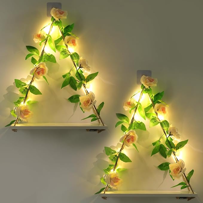 Floating Shelves for Wall,Plant Wall Decor,Hanging Shelf,Cottage Core Decor,Room Decor Aesthetic,Boho Room,Adhesive Shelves,Floating Shelves for No Drilling,Two-Piece Set(Champagne Flower)-Ruum Studio Home