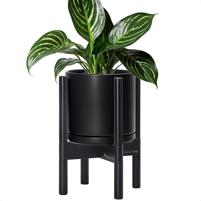 D'vine Dev Ceramic Planter with Ebony Stand - 8 Inch Modern Round Flower Pot with Wood Planter Holder, Black, 55-B-M-2-Ruum Studio Home