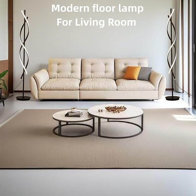 Unique Spiral Floor Lamp 3 Color Dimmable with Remote Standing Floor Lamp, Modern Creative Tall Lamp Control for Living Room Bedroom and Office Black-Ruum Studio Home