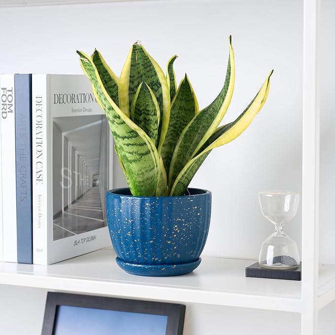 4/5/6 Inches Ceramic Plant Pots with Drainage Holes and Saucers, Round Flower Pots for Indoor Plant, Modern Flower Planters Set of 3 (Blue with Dot-Big Size)-Ruum Studio Home