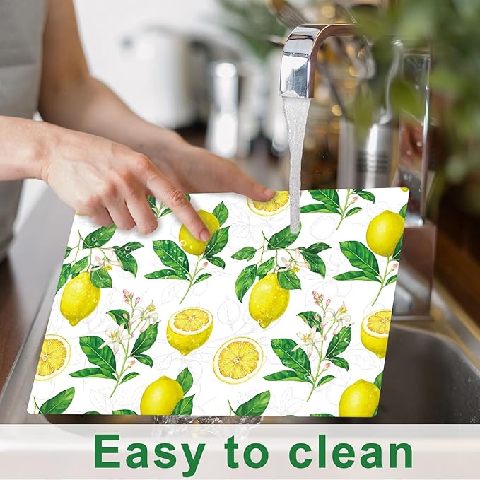 Lemon Placemats Set of 6 Summer Plastic Table Mats Yellow Lemonade Theme Place Mats Washable Vinyl Rustic Holiday Table Decoration for Indoor Outdoor Party Kitchen Dining-Ruum Studio Home