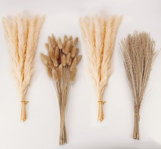 Natural Dried Pampas Grass Decor, Beige Pampas Grass, Bunny Tails Dried Flowers, Reed Grass Bouquet for Wedding Boho Flowers Home Table Decor, Rustic Farmhouse Party (100 in Total )-Ruum Studio Home