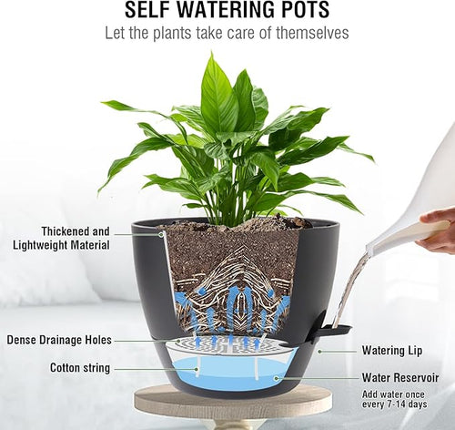 10 inch Self Watering Hanging Planters, 2 Pack Hanging Baskets for Indoor Outdoor Plants, Hanging Flower Pots with Drainage Holes & 2 Kinds of Plant Hangers for Garden Home Decor, Black-Ruum Studio Home