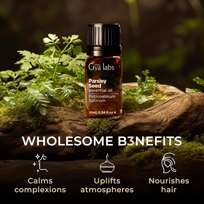Gya Labs Parsley Essential Oil for Skin - 0.34 Fl Oz - 100% Pure Natural Parsley Oil for Diffuser, Hair & Candle Making Scent-Ruum Studio Home