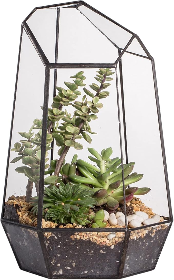 NCYP Geometric Glass Terrarium Planter for Succulent, Small Cacti, Black Irregular Opened Container Pot, Indoor Home Garden Office Tabletop Decor, 6.5" x 5.7" x 9.8" (No Plants, No Door)-Ruum Studio Home