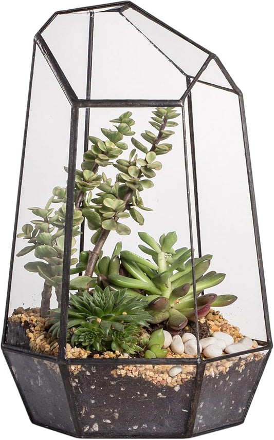 NCYP Geometric Glass Terrarium Planter for Succulent, Small Cacti, Black Irregular Opened Container Pot, Indoor Home Garden Office Tabletop Decor, 6.5" x 5.7" x 9.8" (No Plants, No Door)-Ruum Studio Home