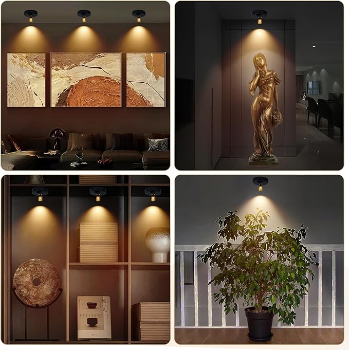 Rechargeable Spotlight, Battery Powered Picture Lights with Remote, Dimmable Plant Spot Light Indoor, Cordless Accent Lighting, LED Uplight for Tree Dartboard Decor Painting Artwork Photo-Ruum Studio Home