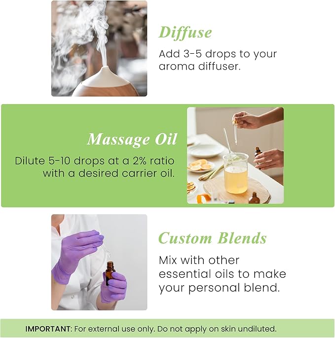Handcraft Blends Organic Peppermint Essential Oil – 1 Fl Oz – 100% Pure and Natural – Premium Grade Essential Oil for Diffuser and Aromatherapy-Ruum Studio Home