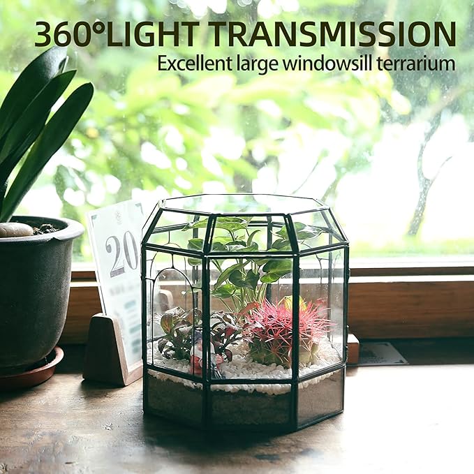 Large Glass Terrarium Handmade, Centerpiece Display Box Gift Planter Containers Indoor Terrariums House for Succulent Cacti Air Plants Miniature Fairy Garden-Ruum Studio Home