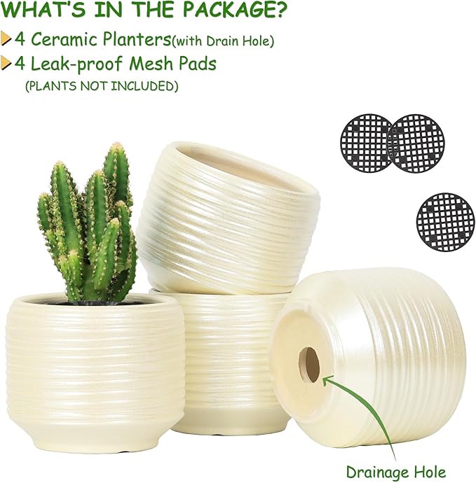 Mini Succulent Planter Set – 3.7 Inch Ceramic Pots with Drainage for Indoor Plants, Small Decorative Flower Pots for Cactus and House Plants, Set of 4-Ruum Studio Home