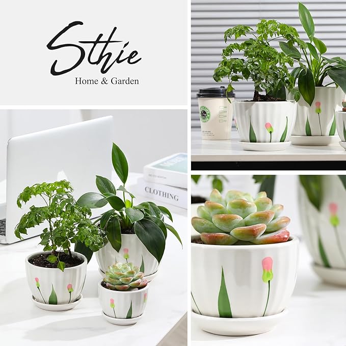 Ceramic Plant Pots with Drainage Holes and Saucers, Round White Flower Pots for Indoor Plant, Diameter 3.3/4.3/5.5 Inches Small Flower Planters Set of 3-Ruum Studio Home