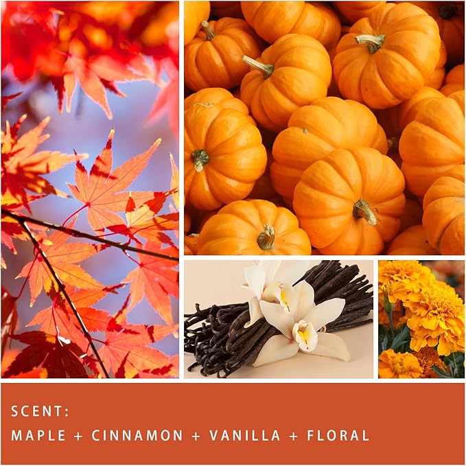Auelife Fall Candle, Autumn Wreath Scented Soy Candles for Home, Aromatherapy Candle Gift Set for Women & Men, Cozy Fall Décor, 7oz – Perfect for Autumn Relaxation and Home Ambiance-Ruum Studio Home