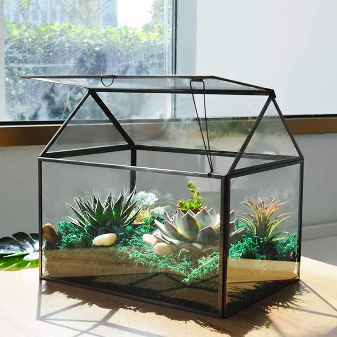Black 1 Large Glass Plant Terrarium Kit with Lip Greenhouse for Succulents-Ruum Studio Home