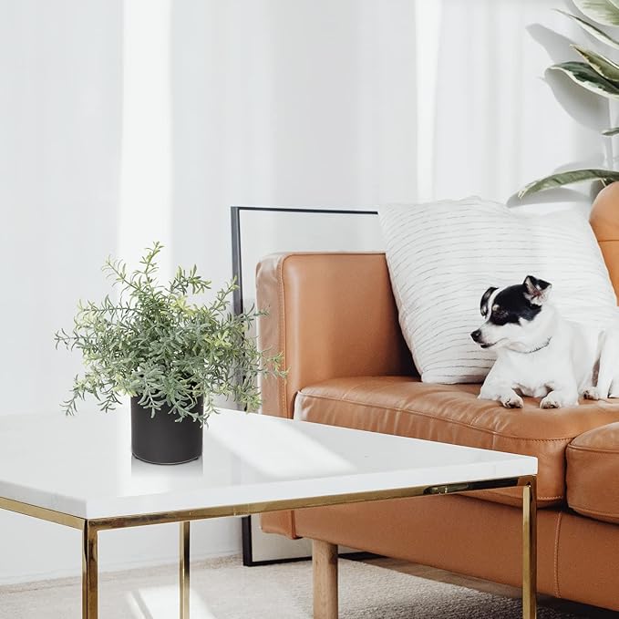 3 Pack Small Fake Plants for Shelf Decor Accents with Ceramic Pot Artificial Potted Plants for Rustic Farmhouse Decor Faux Plants Indoor Fake Potted Plants Artificial for Home Office Bookshelf Decor-Ruum Studio Home