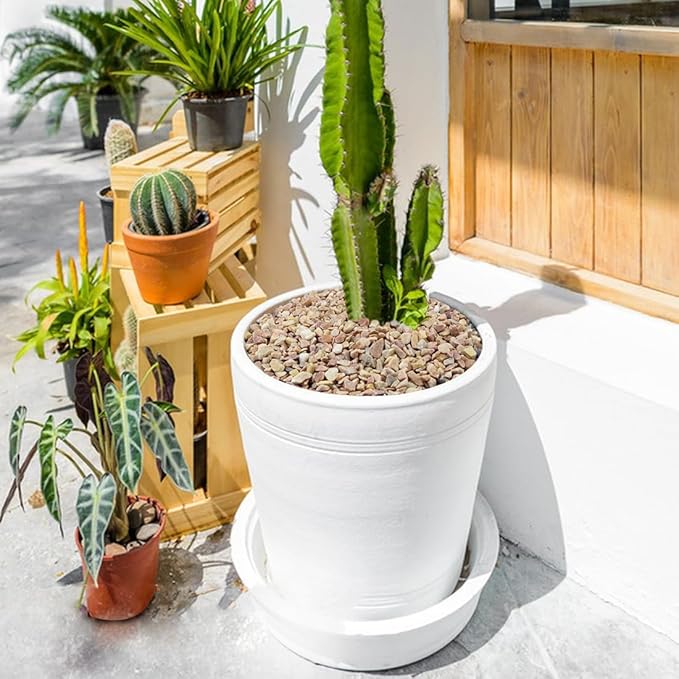 10LB Succulent and Cactus Gravel Pebbles, 1/5 Inch Natural Decorative Polished Stones, River Rocks for Plants, Vases, Aquariums, Terrarium and Outdoor Gardening,Peach-Ruum Studio Home