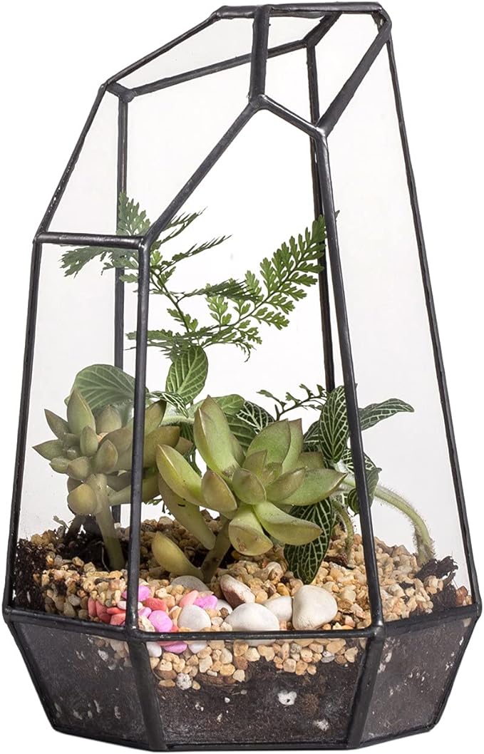 NCYP Small Glass Geometric Terrarium - 4.9 x 3.9 x 7.4 Inches Irregular Clear Planter Pot for Succulents, Cactus, Indoor Garden Tabletop Decoration, Centerpiece (No Plants, No Door)-Ruum Studio Home