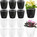 Self Watering Pots for Indoor Plants, 12-Pack 5'' Self Watering Planter with Drainage Holes, Small African Violet Pots with Water Level Indicator, Clear Wick Pot, White/Black-Ruum Studio Home