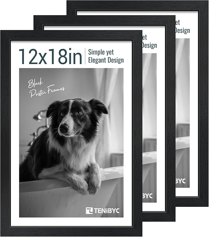 12x18 Poster Frame Set - 3 Pack, Textured Black Solid Wood with HD Tempered Glass, Wall Gallery Picture Photo Frame-Ruum Studio Home