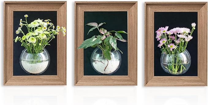 Walnut Wooden Frame Wall Hanging Planter for Hydroponic Plants，12'' x16''inch Wall Vase with Oblate-Shaped Acrylic Propagation Station，Bathroom, Office, or Living Room Decor, Set of 3-Ruum Studio Home