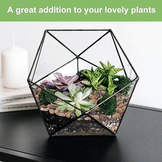 5 lbs Drainage Rocks for Potted Plants, 1/5 Inch Small Pebbles for Indoor Plants, Decorative Gravel for Vases, Bamboo, Succulent, Terrarium, Crafts, Cactus-Ruum Studio Home