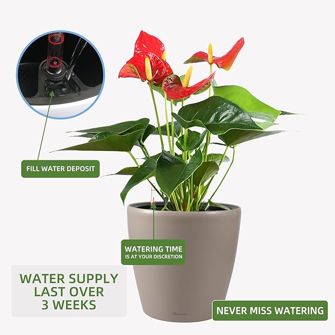 Dexceder 13x12 Self Watering Planter with Wheels Indoor Outdoor, Inner Pot Design, Thickened Large Floor Standing Flower Plant Pot with Water Level Indicator (Taupe Matte)-Ruum Studio Home