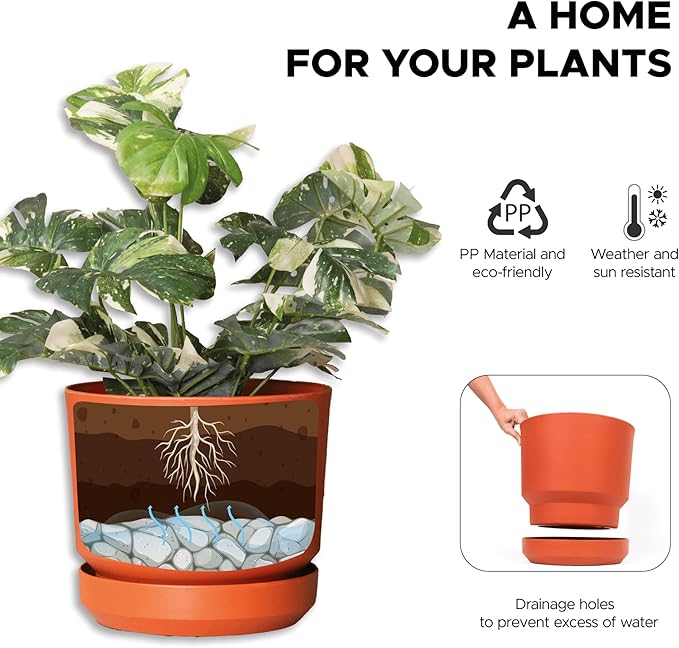 Elly Décor 8 inch Plastic Cylinder Planter Pot with Self-Watering Saucer and Drainage Hole,Lightweight & Extremely Durable, 8"x 8", Terracotta-Ruum Studio Home