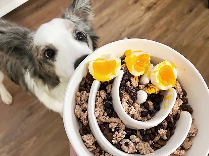 Slow Feeder Dog Bowl, 3 Cups Ceramic Maze Dog Food Bowl for Medium/Large Dogs – Non-Slip White Pet Dish, Cute Puzzle Design to Slow Fast Eaters-Ruum Studio Home