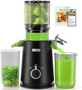 Juicer Machines with Wide Mouth & Large Feed Chute, Professional Cold Press Juicer For Whole Fruits & Vegetables, Self Feeding for Juice Extractor Machine, Easy to Clean, High Juice Yield-Ruum Studio Home