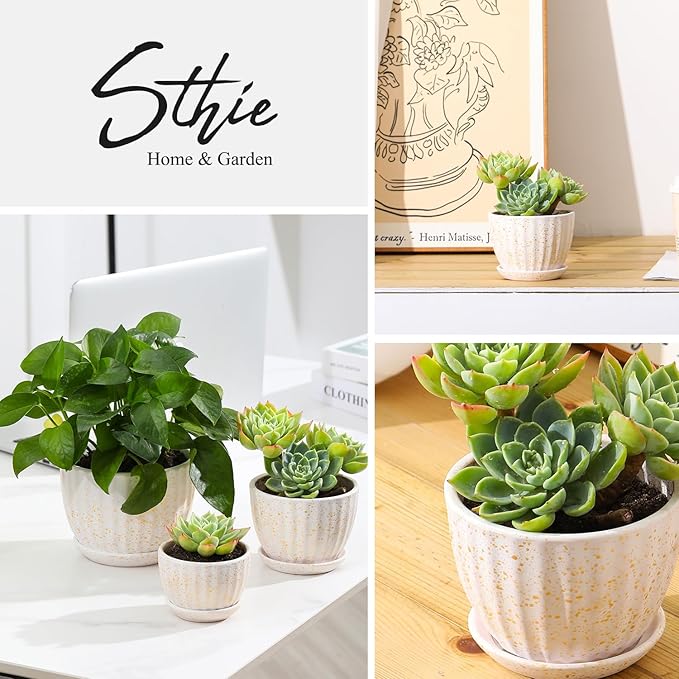 Ceramic Plant Pots with Drainage Holes and Saucers, Round Flower Pots for Indoor Plant, Diameter 3.3/4.3/5.5 Inches Small Flower Planters Set of 3-Ruum Studio Home