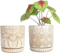 6 Inch Indoor Plant Pots with Drainage Holes and Saucers, Ceramic Planter for Plants, Flower Pot - Set of 2-Ruum Studio Home