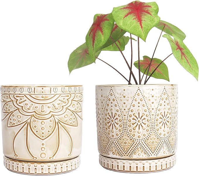 6 Inch Indoor Plant Pots with Drainage Holes and Saucers, Ceramic Planter for Plants, Flower Pot - Set of 2-Ruum Studio Home