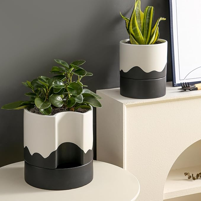 Nihow Self Watering Plant Pot: 8 Inch Ceramic Planter with Drainage Hole & Water Storage Plus for Indoor & Outdoor Plants - Cylinder Round Flower Pot for Succulent/Herbs/Violets - White & Wave Black-Ruum Studio Home