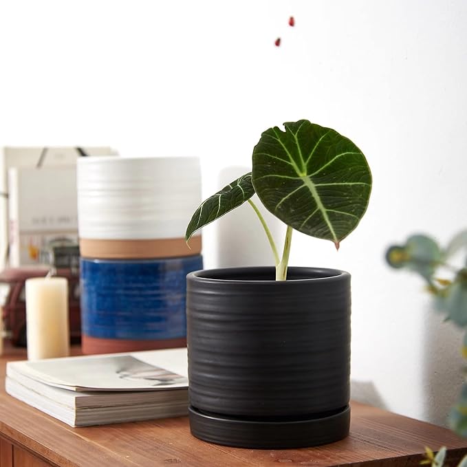 6 Inch Plant Pots, Ceramic Planter Pot with Drainage Hole & Saucer, Indoor/Outdoor Cylinder Round Planter Pot, Matte Black-Ruum Studio Home